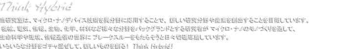 Think Hybrid.