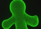cell-doll2